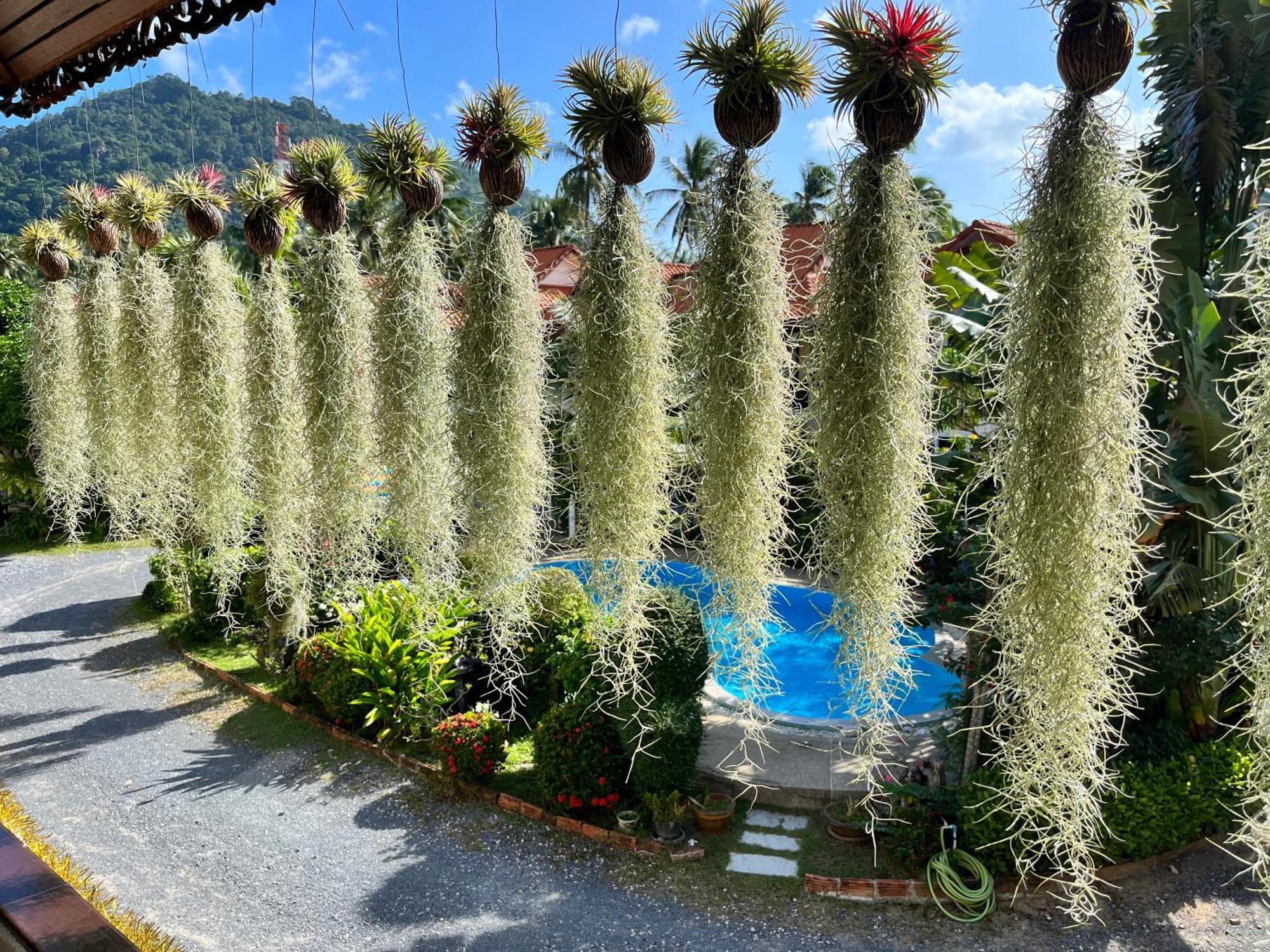 Amy Village Garden Resort Lamai Beach  Exterior foto